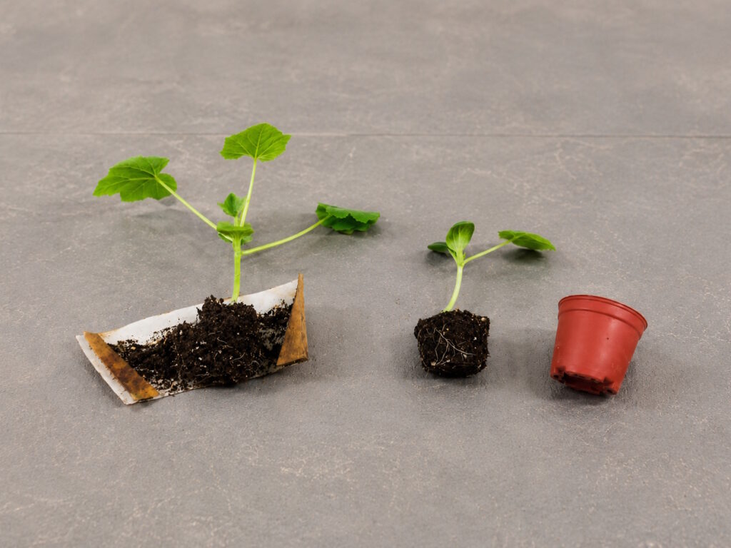 grow cup comparison bg